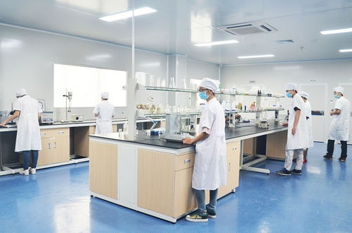 药妆与化妆品成分及制造工艺全解析